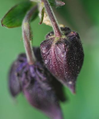 Прикрепленное изображение: res_0089.jpg